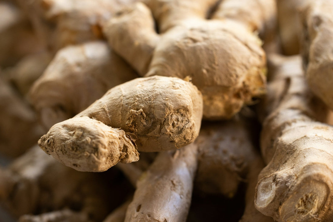 6 aliments Bio qui soulagent en douceur les ballonnements