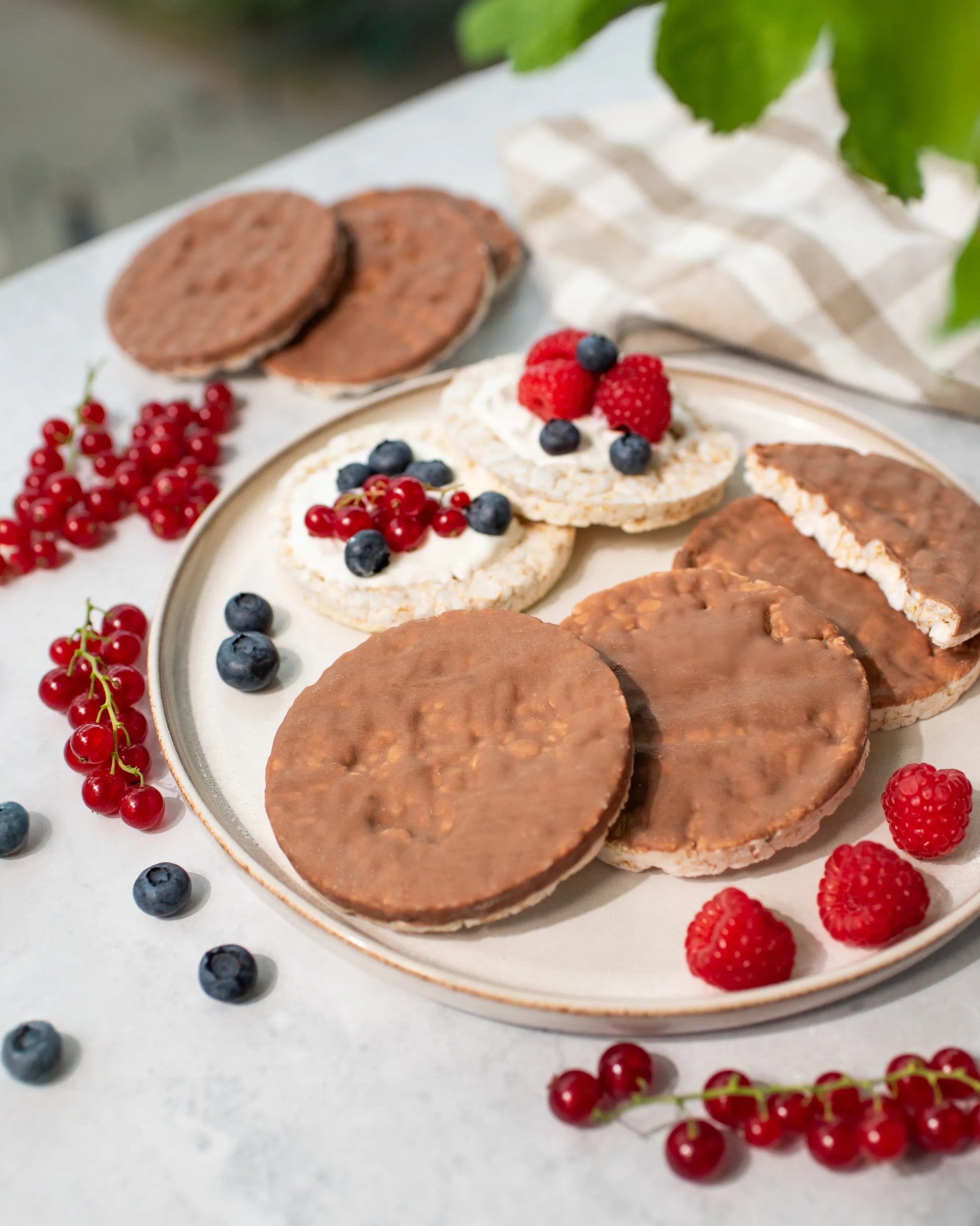Galettes de Riz au Chocolat au lait bio VILGAIN 100 g