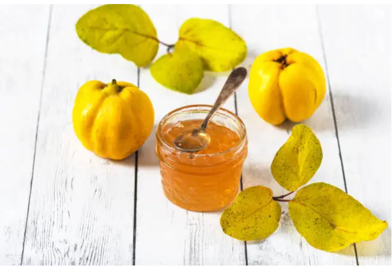 Gelée de Coing bio LES CHAUDRONS DE GARONNE 180 g