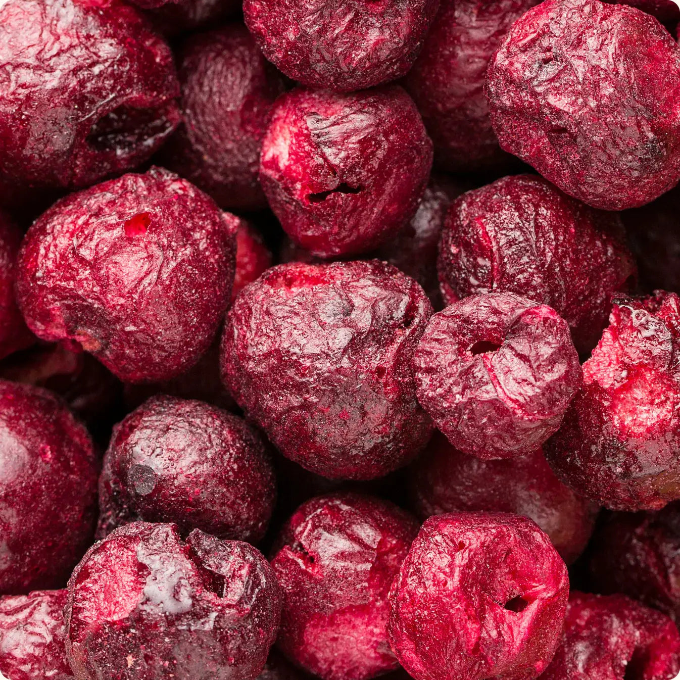 Cerises lyophilisées bio ORGANICA 20 g