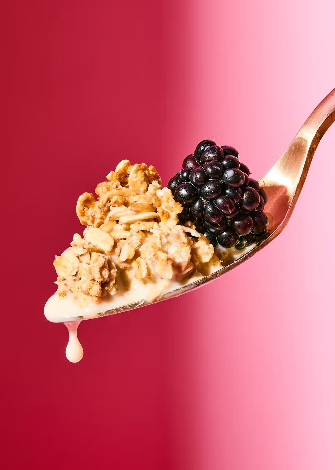 Granola crunchy à l'avoine bio KORO 1 kg