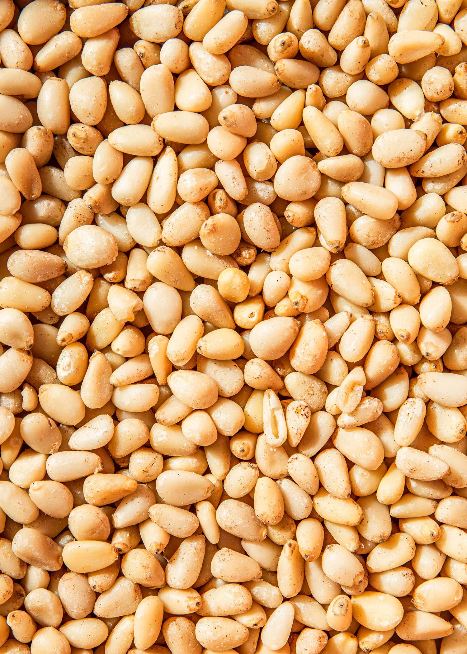 Pignons de pin bio KORO 100 g