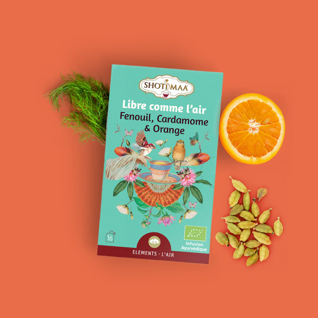 Tisane "Libre comme l'Air" bio SHOTI MAA 16x2g