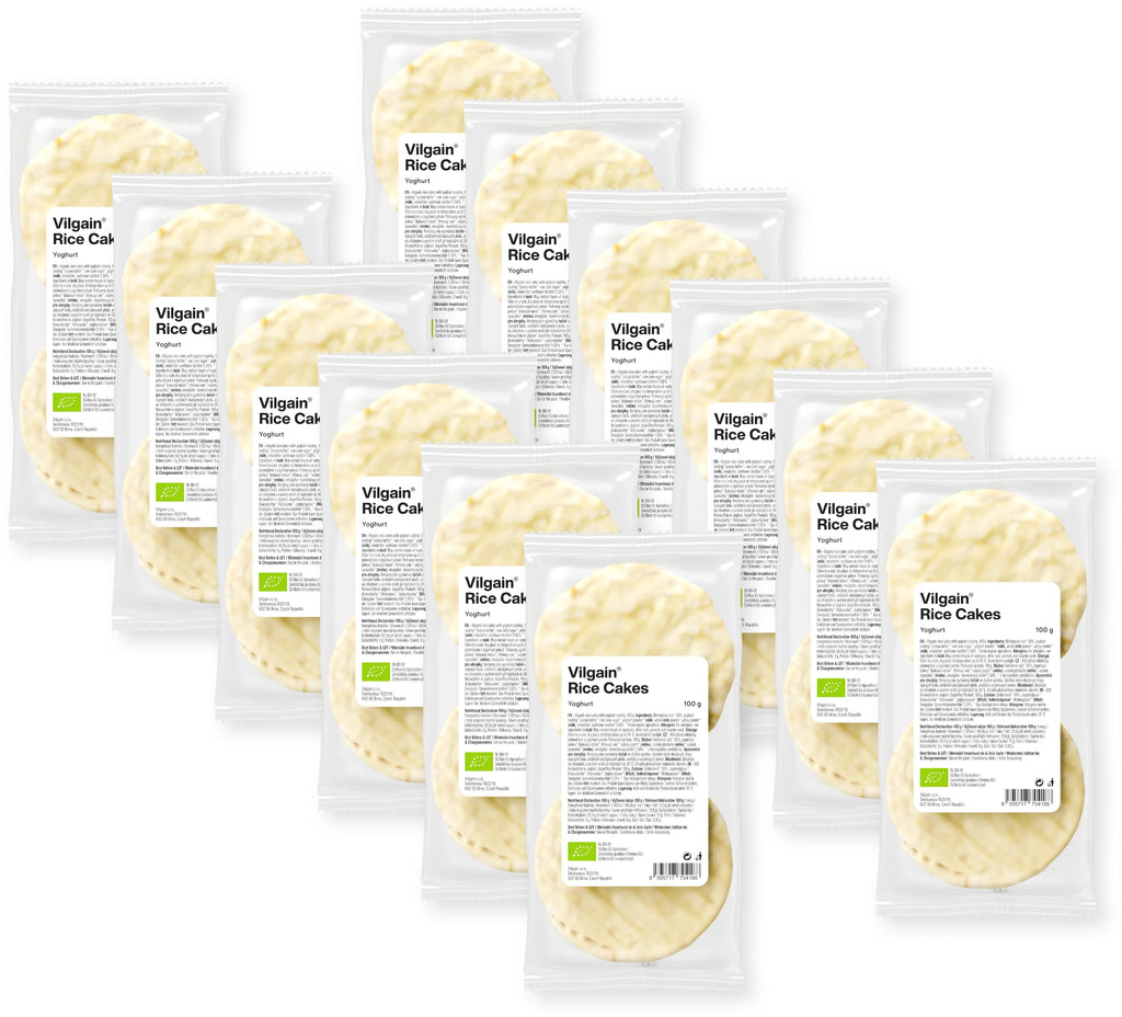 Galettes de Riz Yoghurt bio VILGAIN 100 g
