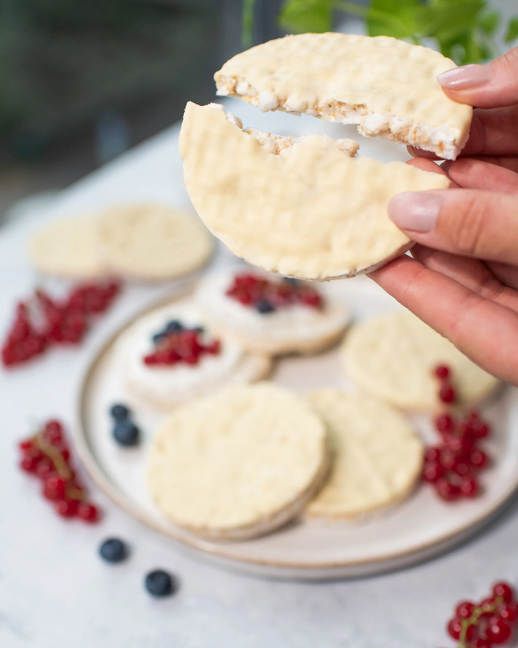 Galettes de Riz Yoghurt bio VILGAIN 100 g