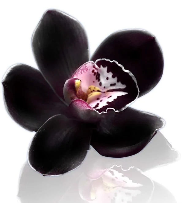 Fondants Parfumés Orchidée Noire - sachet 20 g