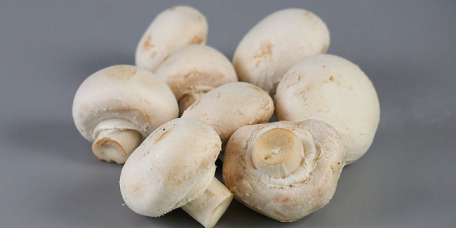 Gourde Purée de Champignons bio POPOTE 120 g