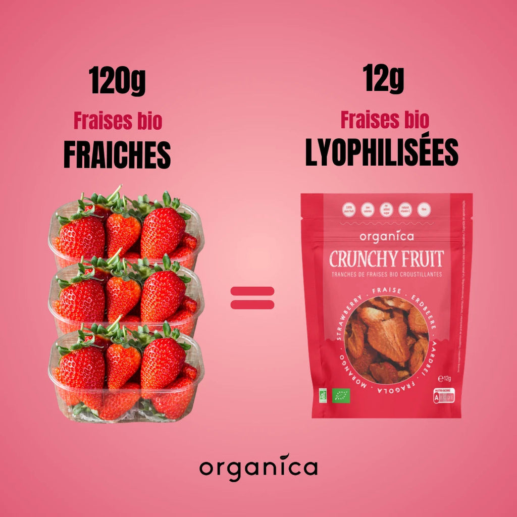 Fraises tranchées lyophilisées bio ORGANICA 12 g