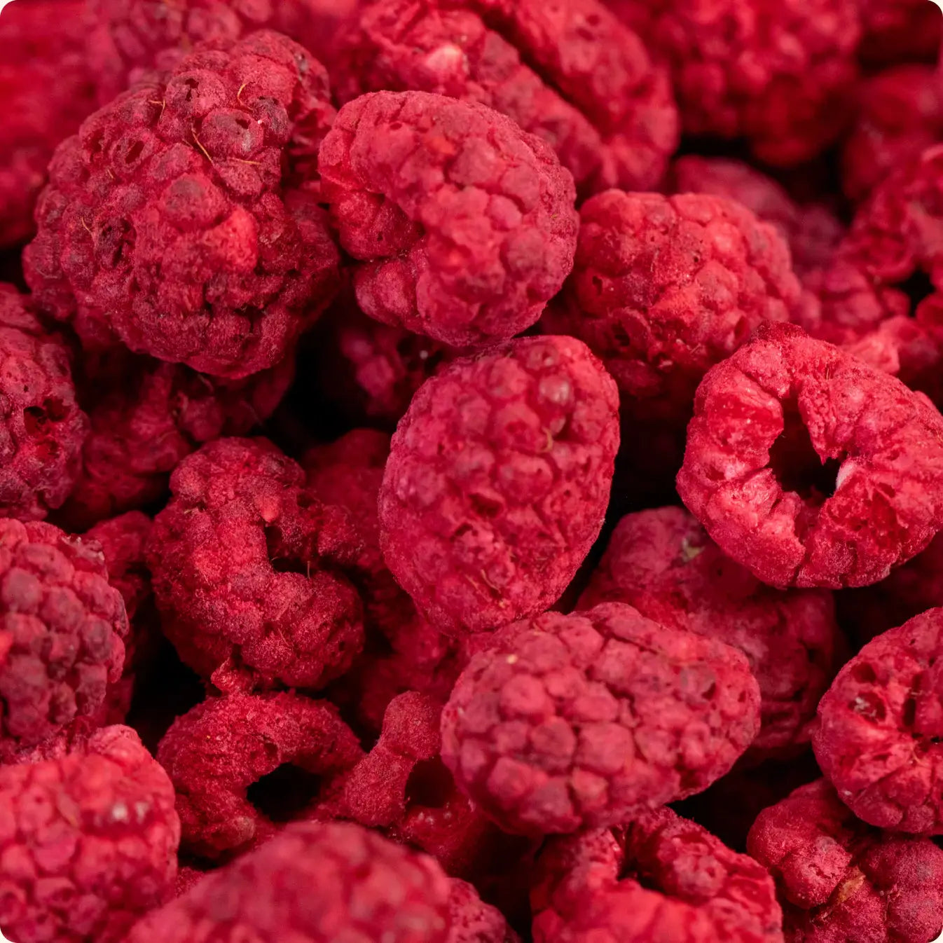 Framboises entières lyophilisées bio ORGANICA 12 g