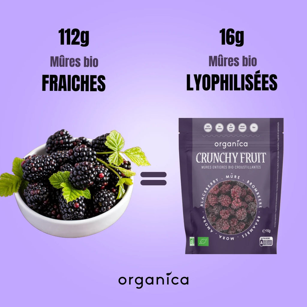 Mûres lyophilisées bio ORGANICA 16 g