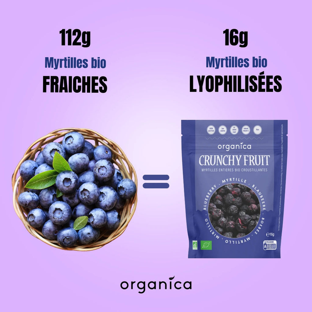 Myrtilles lyophilisées bio ORGANICA 16 g