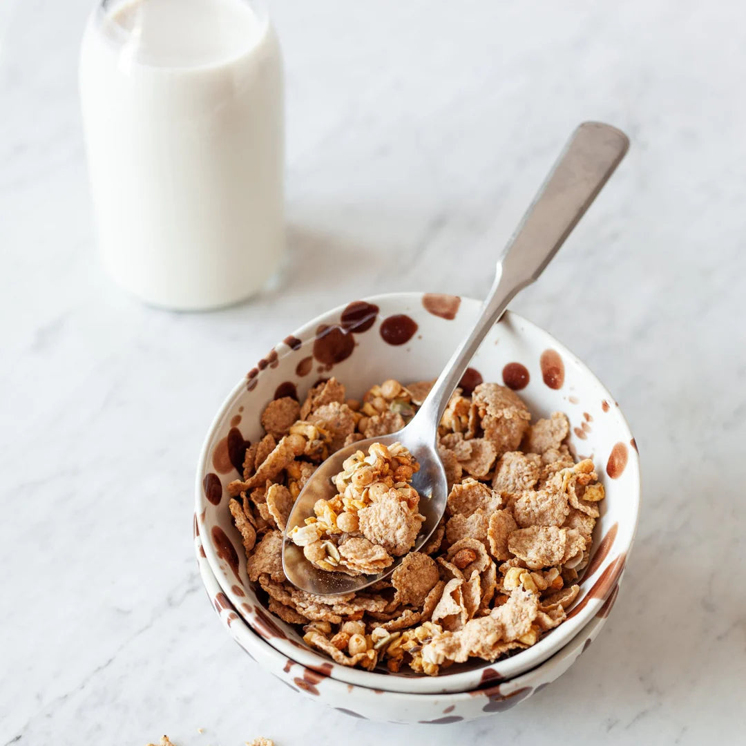 Protein Flakes & Granola bio et sans gluten TURTLE 300 g