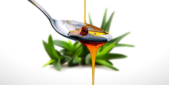 Sirop d'Agave bio PHILIA 360 g